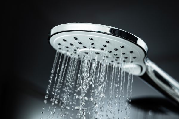 Cost of Shower Head Replacement in Auburn