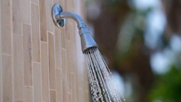 Cost of Showerhead Repair in Auburn