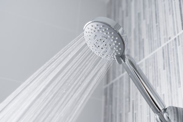 Cost of Showerhead Replacement in Auburn